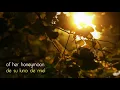 Iron and Wine   Passing Afternoon Subtitulada