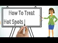 How To Treat Hot Spots in Dogs with Home Remedies