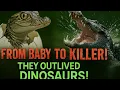 How Crocodiles Outlived Dinosaurs Full Life Cycle Explained For Kids