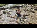 Download Lagu sediment the whole stream to catch fish highland boy unexpected result harvest a basket of fish sell