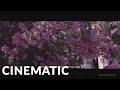 Download Lagu Epic Cinematic | Cambodia (Epic Emotional)