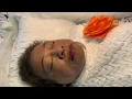 Funeral Service of Ms Shirley L High