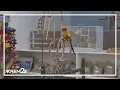 Love Local Unique pet mall now open in Spokane County