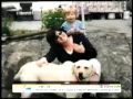 The Today Show reveals a documentary of Diane Schuler