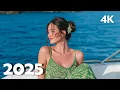 Download Lagu 🌴 Tropical Deep House Mix 2025 | Summer Chill Beats \u0026 Vibes 4K UHD TV Relax | Pulsea