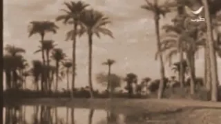 شمس الأصيل   أم كلثوم   نوعية صوت عالية                   دندنها