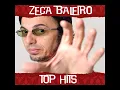 Zeca Baleiro - Telegrama