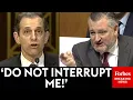 BREAKING NEWS Ted Cruz Has Fiery Clash With Witness Over Minnesota Fraud