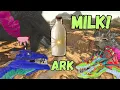 Tutorial How to get Wyvern milk in Ark