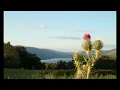 Braveheart theme instrumental to relaxing - A Gift of a Thistle 1h continuous