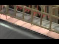 VT Dimensions Countertops Plant Tour