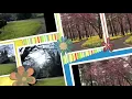 The Park - Feist