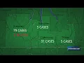 New cases of COVID-19 in the Twin Tiers