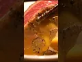 Download Lagu Hoe een meester legendarische sukiyaki bereidt in Japan #JapaneseFood #Shorts #Wagyu #Sukiyaki