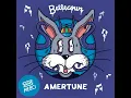 Amertune