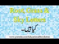 Root Letters Grass Letters and Sky Letters