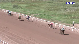 Wyoming Downs Live Horse Racing June 6 2026
