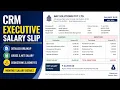 CRM Executive Salary Slip CRM Executive Job Salary