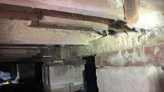 Moldy Crawl Space in Seaside Heights NJ