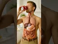 Download Lagu 3D Human Digestive System in Action | Realistic Anatomy with Parasite Worms Animation
