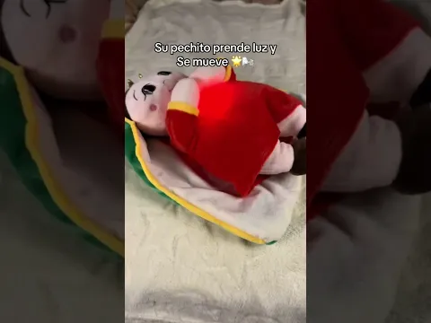 La sensación más reconfortante 🕊️❤️