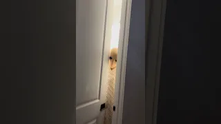 Daughter See S Creepy Man In Her Room And Dad Does This Shorts 