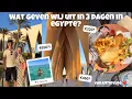 Download Lagu WAT GEVEN WIJ UIT IN 3 DAGEN IN EGYPTE? | Joyce Rikken