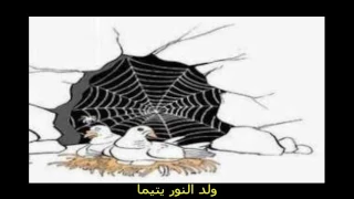 ولد النور يتيما 