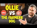 Ollie Vs The Farmers Dog Review Best Pet Dog Food in 2026
