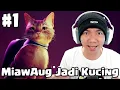 Download Lagu MiawAug Bisa Menjadi Kucing - Stray Indonesia Part 1