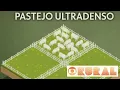 Lagu Reportagem do Globo Rural sobre Pastejo Ultradenso
