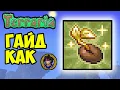 Rare Realm