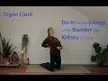 Lagu De orgaanklok: blaas- en nierenergie. Meridiaanrekkingen, acupressuur en meditatie.