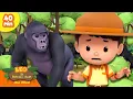 Lagu PEMIMPINNYA HILANG?! 🦍 | Hewan Pemimpin | Leo Si Penjaga Alam | Kartun Anak