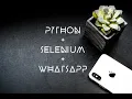 WhatsApp Automation with Python and Selenium for sending messages