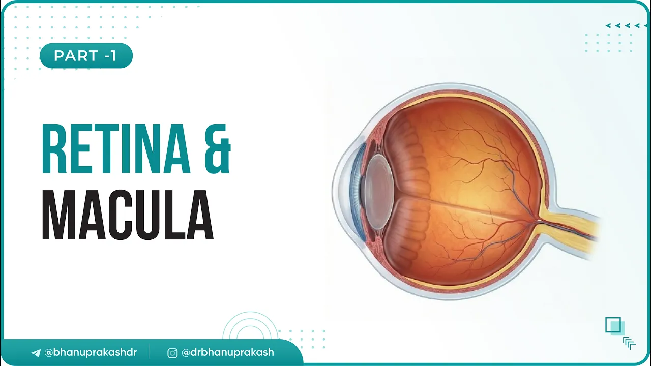 10. Retina and Macula: Introduction, Layers & Pathology of Retina, High Yield Lecture (Part - 1) 2026-02-16 22:13