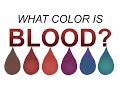 What Color is Blood REALLY 6 min version
