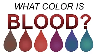 What Color Is Blood REALLY 6 Min Version 