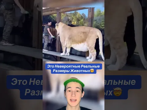 Это Невероятные Реальные Размеры Животных!🤯 #shorts #животные #змея #слон #лошадь