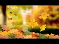 Download Lagu Gió Mùa Thu Năm Ấy - Minh Vương \u0026 Phương Linh | Đừng Bắt Em Phải Quên OST