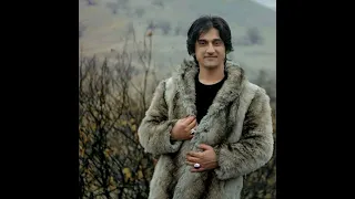 شرافت پروانی گردی تو مارا خراب 2023 