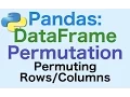 41 Pandas DataFrames Permutation