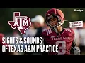 Sights Sounds Practice 5 of Texas A M s 2026 Fall Camp