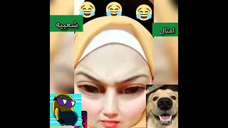 على راي المثل اللي بيقول الكلب لو شاف ذيله كان ههههههههه   دندنها
