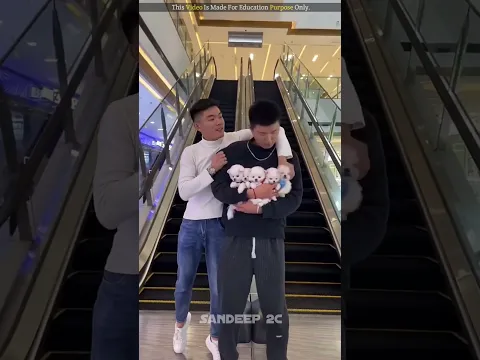 Bhabhi Gifted A Puppy To Everyone On Her Anniversary