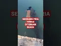 Download Lagu TEWAS DITERKAM BUAYA DIPINGGIR SUNGAI!!!