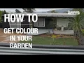 How to Add Colour To Your Garden - Bunnings Warehouse