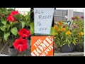 HOME DEPOT NEW PLANTS ARRIVALS FOR SUMMER AND HOW TO MAKE YOUR GARDEN BEAUTIFUL