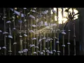 JavaScript Koans Live - Learn JavaScript