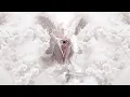 Cherubim - Biblically Accurate Angel